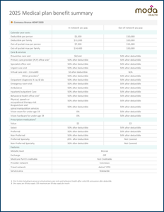 Connexus Bronze HDHP 5500 Cover Image