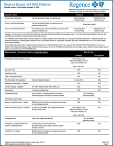 Bronze HSA 6000 Preferred Plan